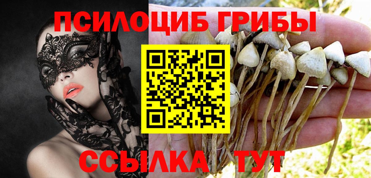 Галлюциногенные грибы GOLDEN TEACHER  Псилоцибиновые грибы Magic Shrooms  Еманжелинск  Вход с VPN 
